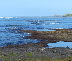 Kaloko-Honokohau beach